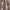 Cranberry - Manila By ILIV || Material World