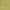 Lime - Niteflite 300cm By Zepel || Material World