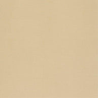 Putty - Niteflite 300cm By Zepel || Material World