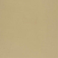 Sand - Niteflite 300cm By Zepel || Material World