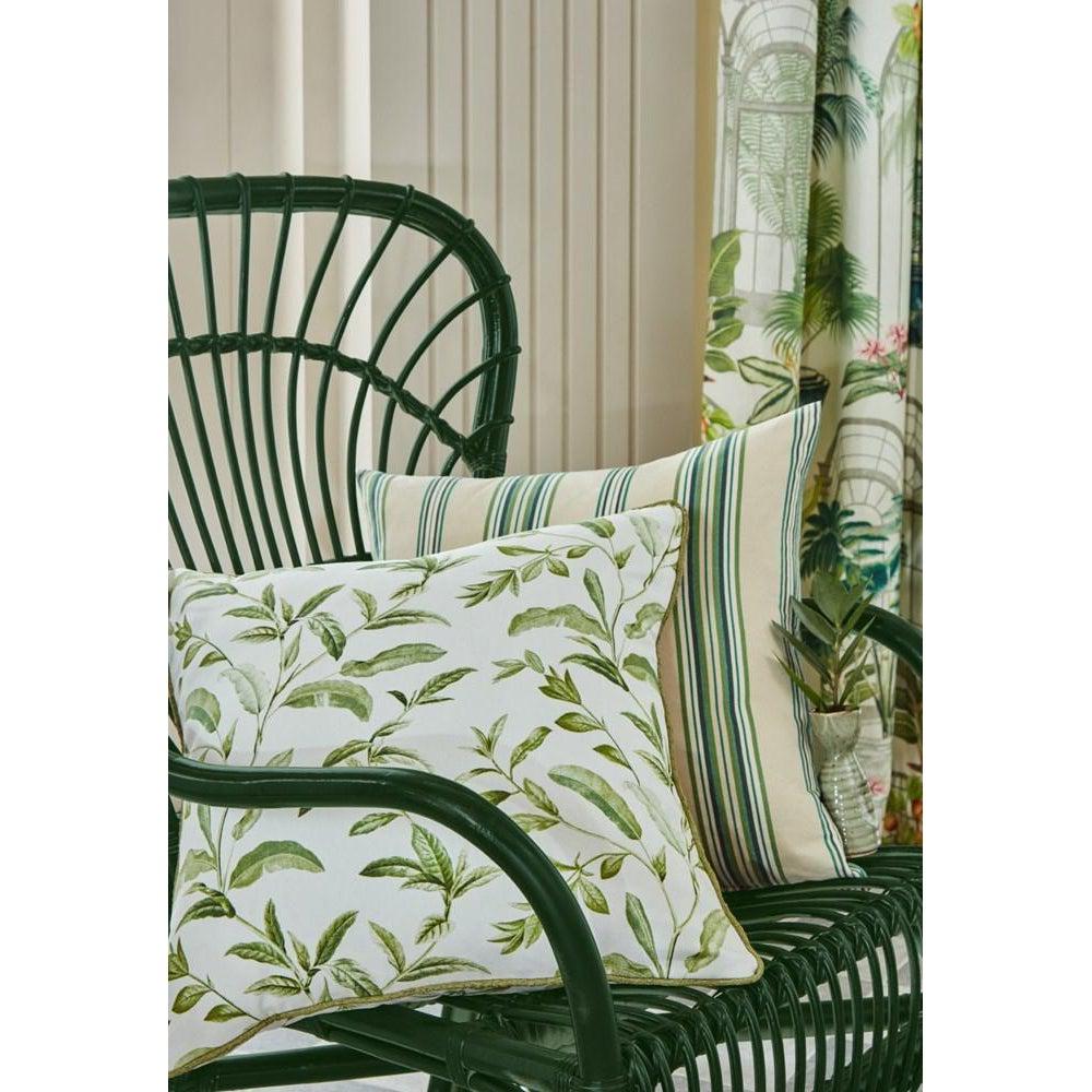  - Oasis By ILIV || Material World