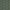 Pine - Oasis By ILIV || Material World