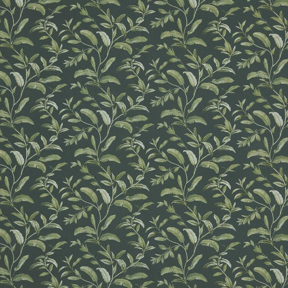 Pine - Oasis By ILIV || Material World
