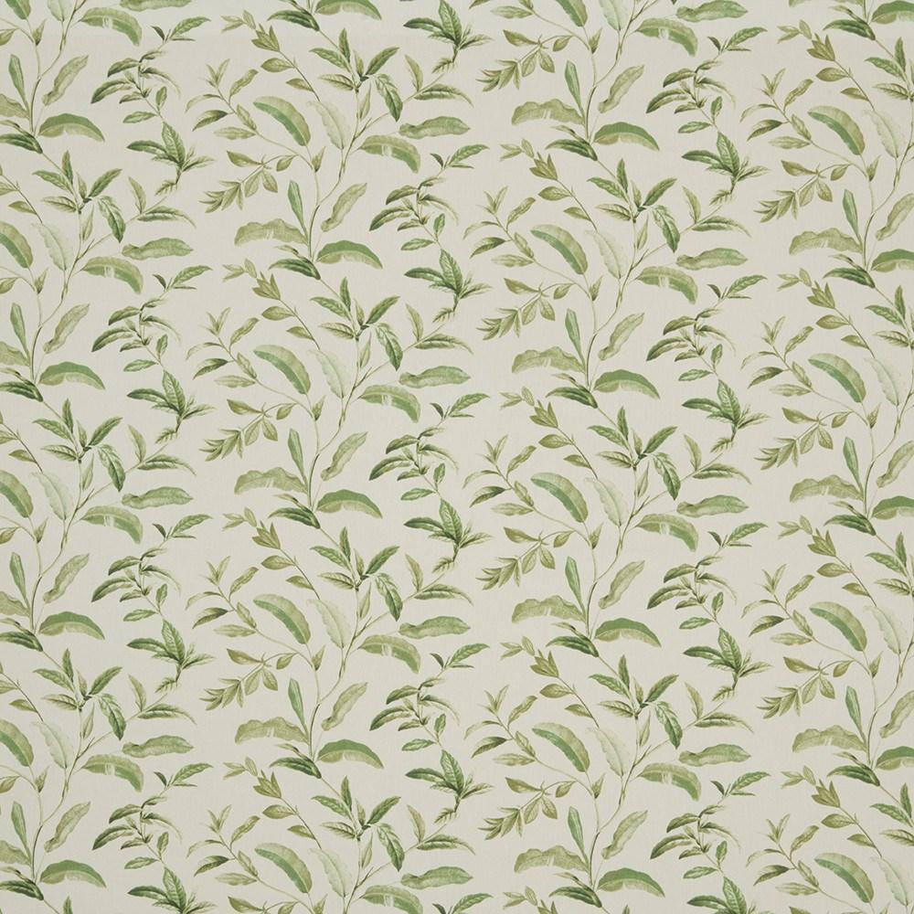Spruce - Oasis By ILIV || Material World