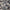 Pacific - Orlando By Maurice Kain || Material World