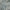 Sky - Orlando By Maurice Kain || Material World