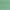 Clover - Orleans By Warwick || Material World