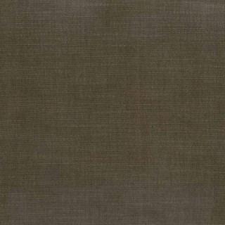 Driftwood - Orleans By Warwick || Material World