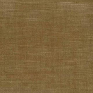 Ginger - Orleans By Warwick || Material World