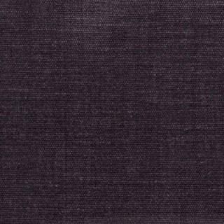 Grape - Orleans By Warwick || Material World