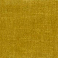 Honey - Orleans By Warwick || Material World