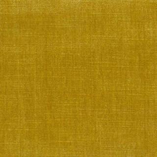 Honey - Orleans By Warwick || Material World