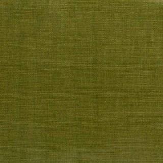 Moss - Orleans By Warwick || Material World