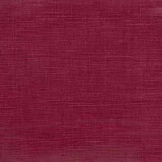 Orchid - Orleans By Warwick || Material World