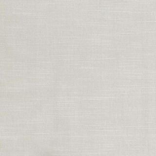 Oyster - Orleans By Warwick || Material World
