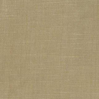 Tapioca - Orleans By Warwick || Material World