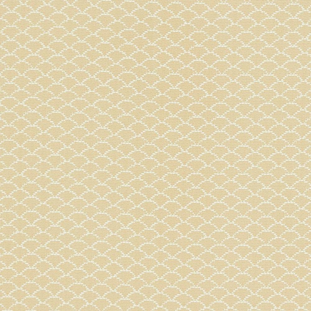  - Palo By Warwick || Material World