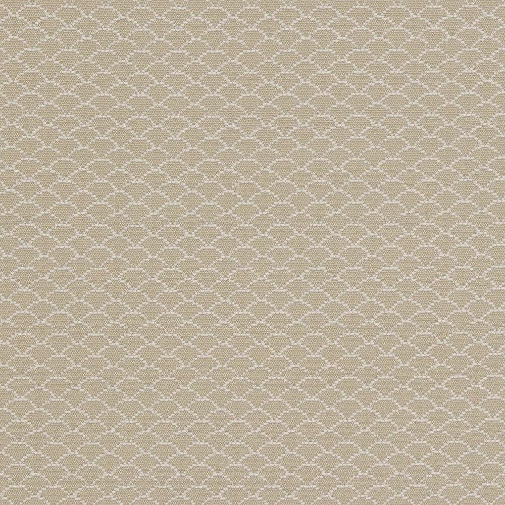  - Palo By Warwick || Material World