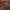 Rose - Panay By Linia || Material World