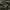 Sage - Panay By Linia || Material World