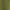Olive - Patina Dimout By Maurice Kain || Material World