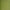 Avocado - Pebovino By Zepel || Material World