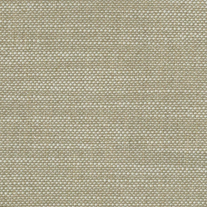 Straw - Peyton By Linia || Material World