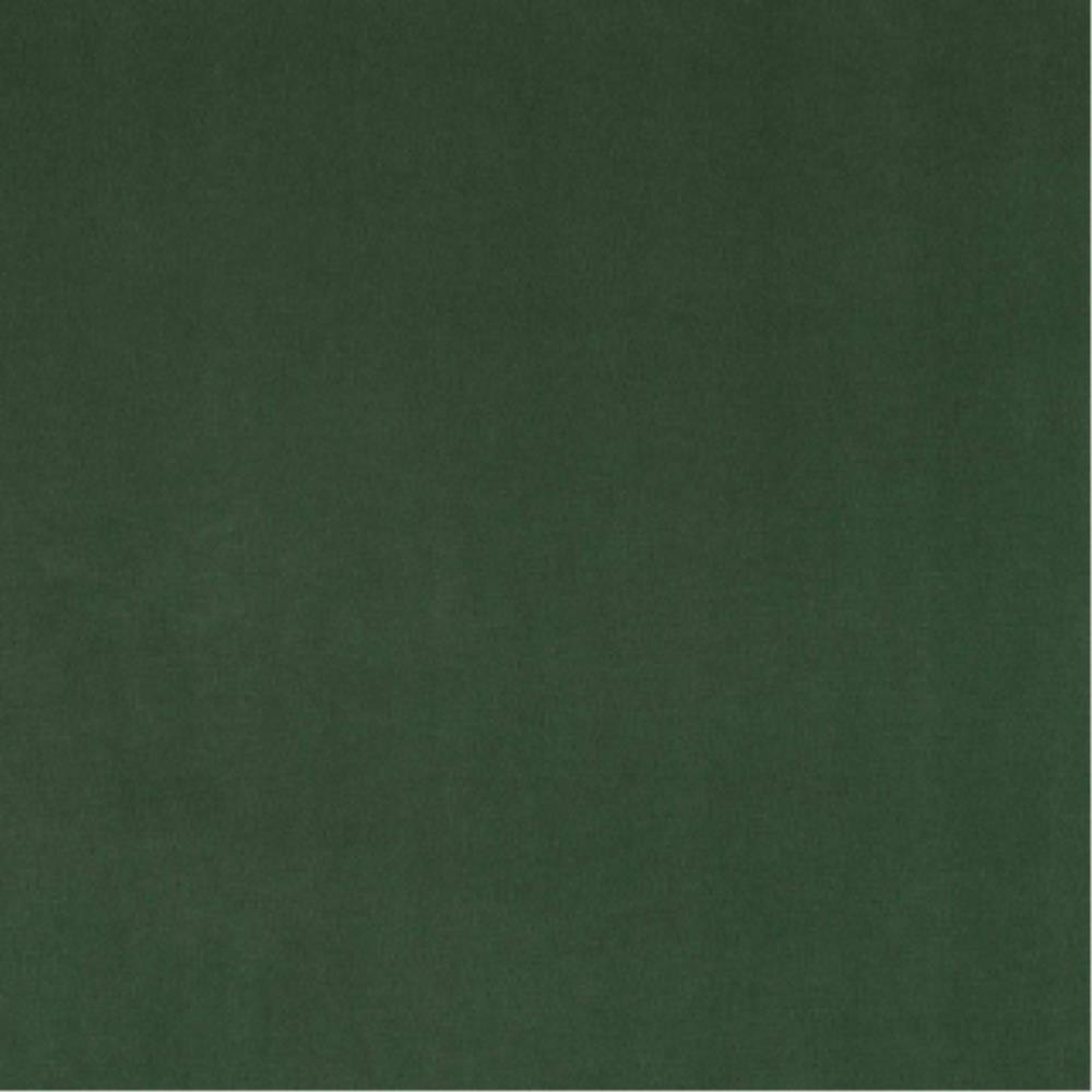  - Plush By Warwick || Material World