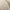 Jute - Pueblo By Mokum || Material World