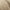 Linen - Pueblo By Mokum || Material World