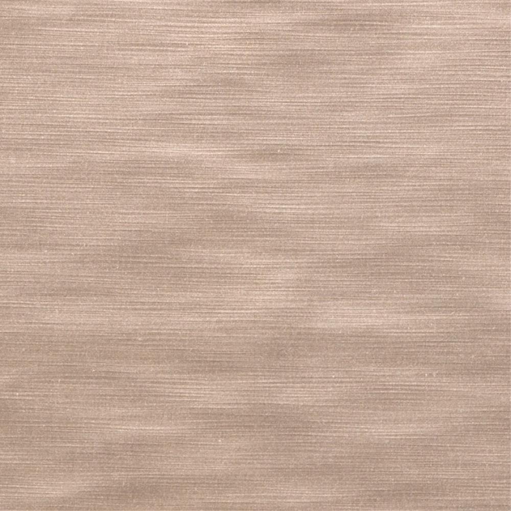Nut - Raider By Zepel || Material World