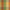 Spice - Respite Outdoor By Zepel UV Pro || Material World