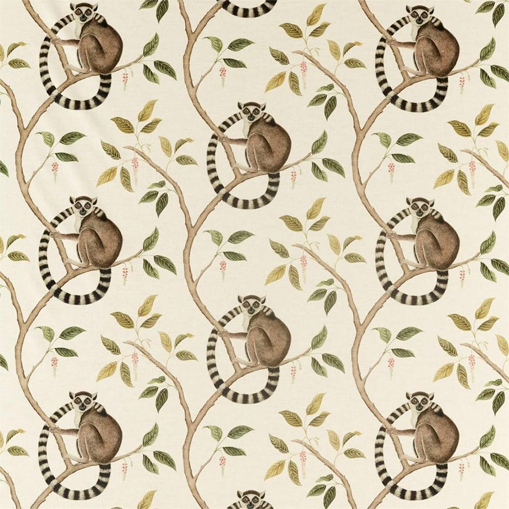 Olive - Ringtailed Lemur By Sanderson || Material World
