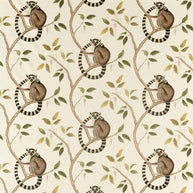 Olive - Ringtailed Lemur By Sanderson || Material World