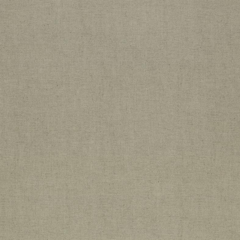 Oyster - Saluzzo By Ashley Wilde || Material World