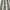 Delft - Savannah By ILIV || Material World