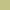 Pistachio - Spotty By ILIV || Material World