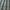 Cassis - Strata By Slender Morris || Material World
