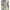 French Navy/Oatmeal - Tivoli By Raffles Textiles || Material World