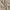 Linen - Topic By Zepel || Material World