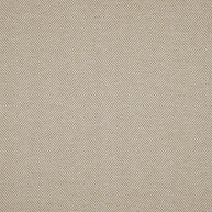 Cream - Trailblazer By James Dunlop Textiles || Material World