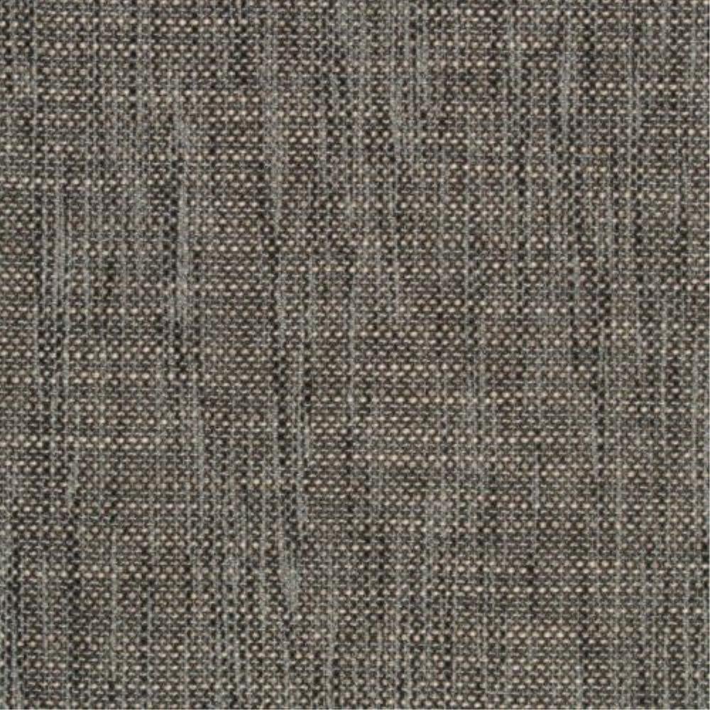 Griffin - Troy By Zepel || Material World