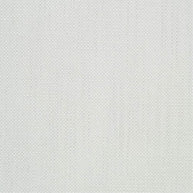 Ivory - Troy By Zepel || Material World