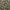 Antique Gold - Tulsehill By Charles Parsons Interiors || Material World