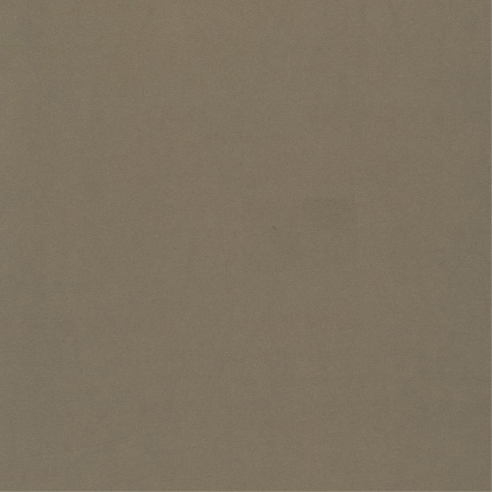 Linen - Ultra Dim Dimout By Zepel || Material World