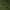 Olive - Velvette By Zepel || Material World