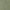 Cactus - Venus By Zepel || Material World