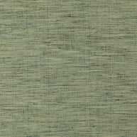 Cactus - Venus By Zepel || Material World