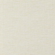 Champagne - Venus By Zepel || Material World