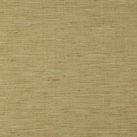 Dijon - Venus By Zepel || Material World